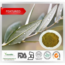 Natural Olive leaf Extract Wholesale/High quality 20% 40% oleuropein/Olive leaf extract in bulk